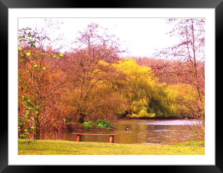 BY THE LAKE Framed Mounted Print by david hotchkiss