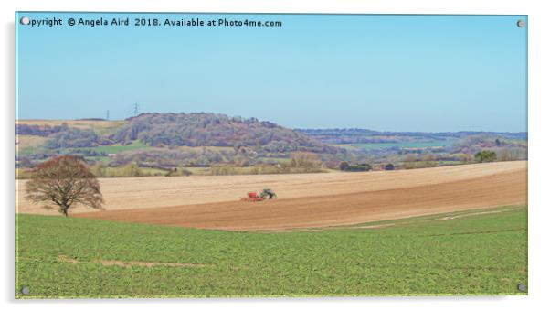 Working the Fields.  Acrylic by Angela Aird