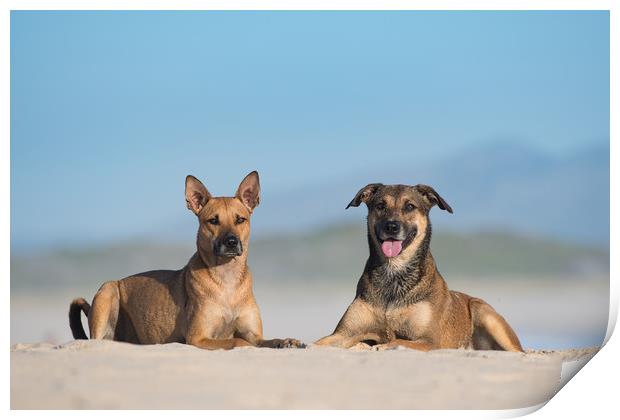 Dogs at the sea Print by Villiers Steyn
