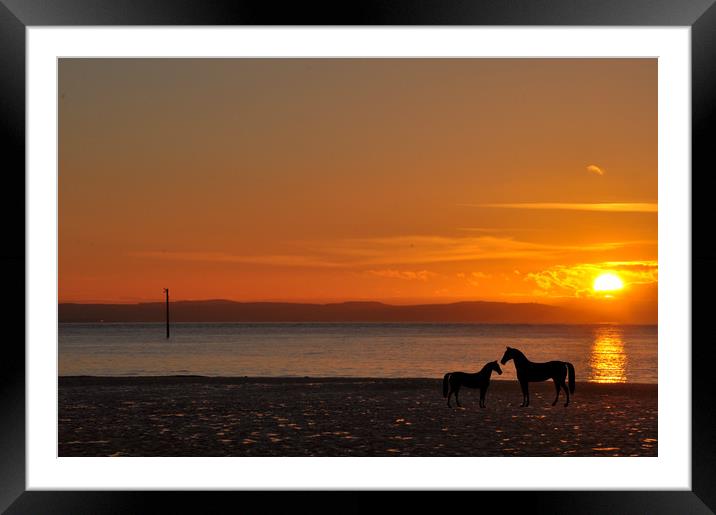 the golden hour Framed Mounted Print by sue davies