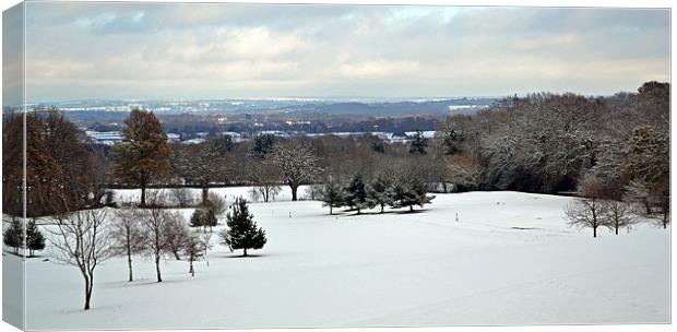 Winter Scene at The Rosebowl Golf Course Canvas Print by Donna Collett
