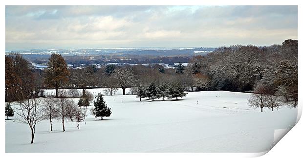 Winter Scene at The Rosebowl Golf Course Print by Donna Collett