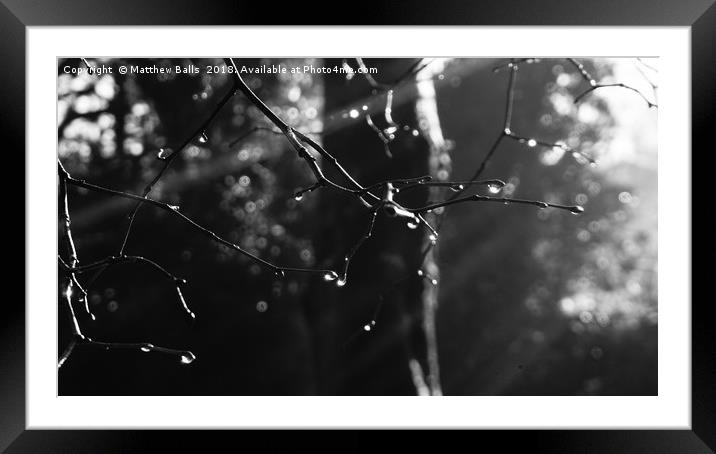     Black and White Raindrops Framed Mounted Print by Matthew Balls
