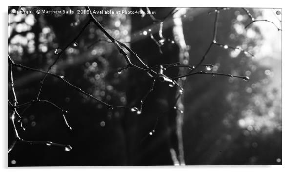     Black and White Raindrops Acrylic by Matthew Balls