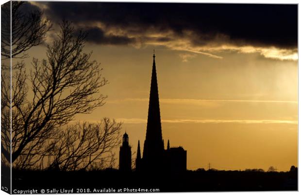 Norwich Cathedral Spire at sunset Canvas Print by Sally Lloyd