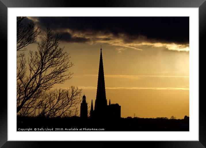Norwich Cathedral Spire at sunset Framed Mounted Print by Sally Lloyd