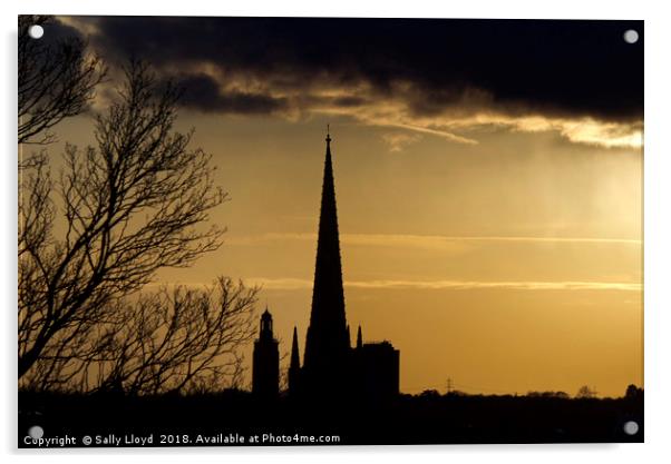 Norwich Cathedral Spire at sunset Acrylic by Sally Lloyd