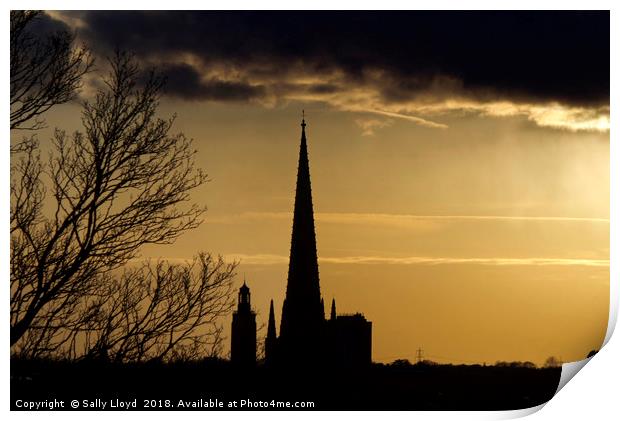 Norwich Cathedral Spire at sunset Print by Sally Lloyd