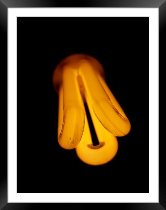 light bulb with a dark background Framed Mounted Print by Dinil Davis