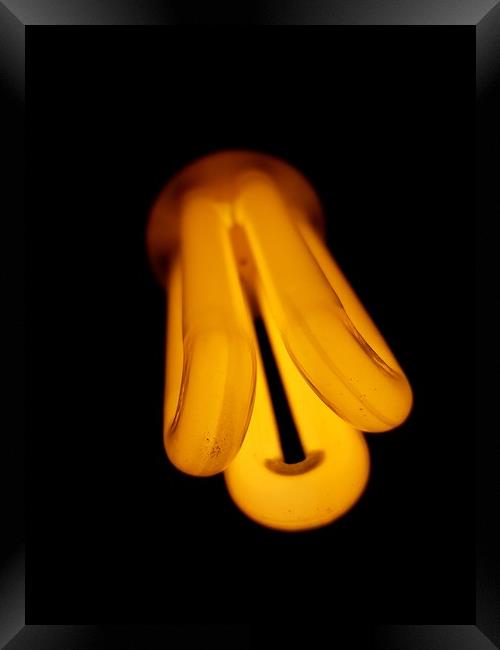 light bulb with a dark background Framed Print by Dinil Davis