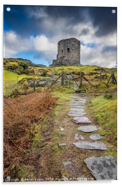Dolbadarn Castle Llanberis Snowdonia Acrylic by Adrian Evans
