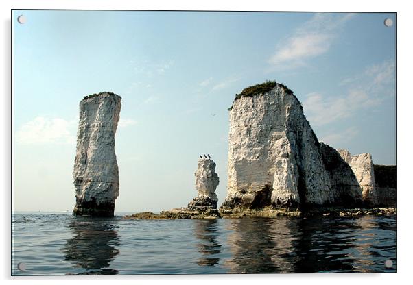 Old Harry Rocks Acrylic by Graham Piper