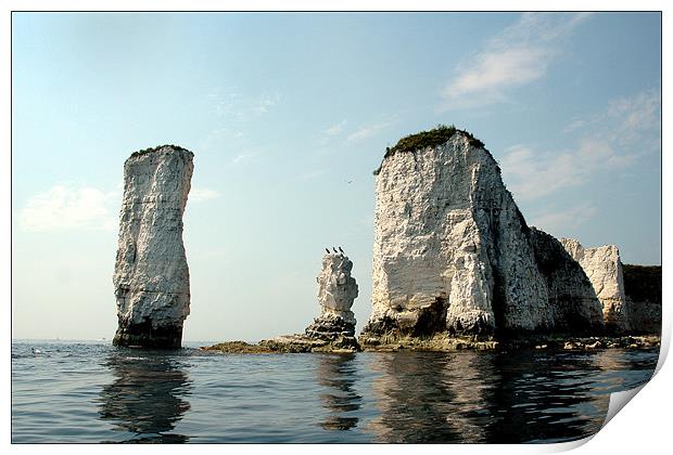Old Harry Rocks Print by Graham Piper