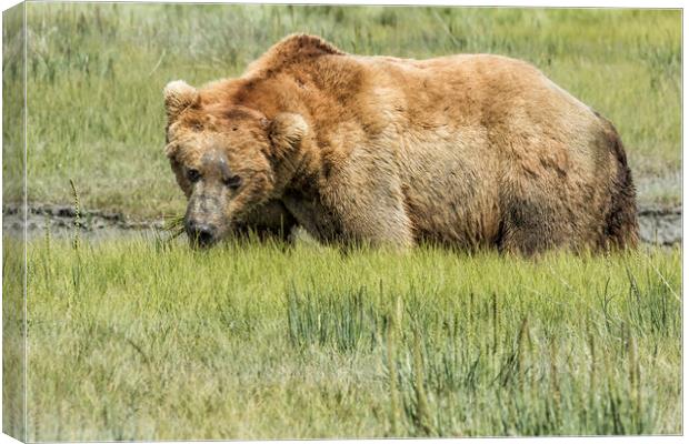 Back to the Business of Eating Canvas Print by Belinda Greb