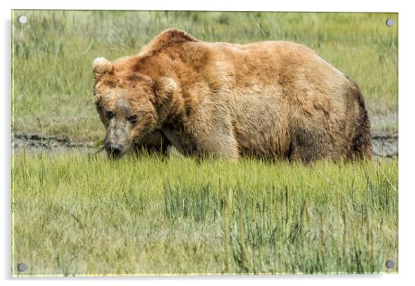 Back to the Business of Eating Acrylic by Belinda Greb