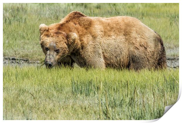 Back to the Business of Eating Print by Belinda Greb