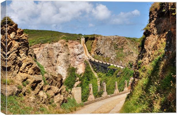 La Coupee Sark Canvas Print by Diana Mower