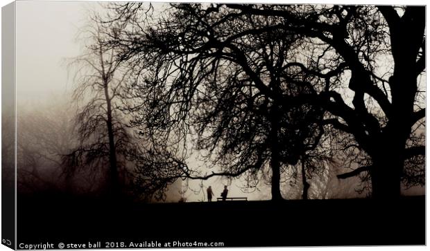 Meeting in a misty park Canvas Print by steve ball