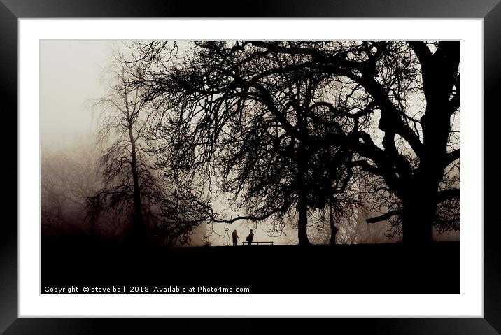 Meeting in a misty park Framed Mounted Print by steve ball