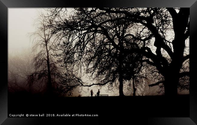 Meeting in a misty park Framed Print by steve ball