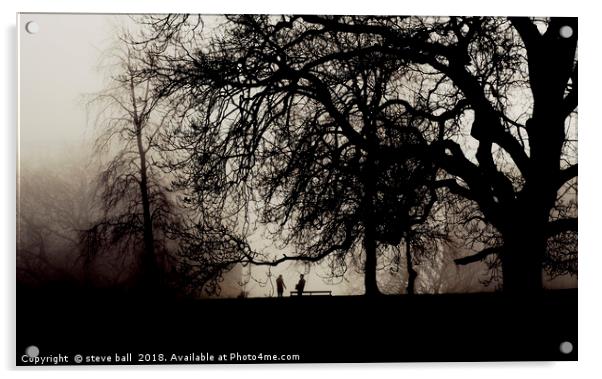 Meeting in a misty park Acrylic by steve ball