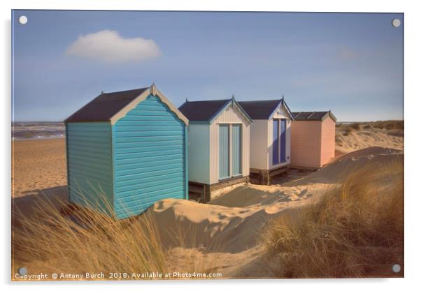 Southwold Gun Hill Beach Huts Acrylic by Antony Burch