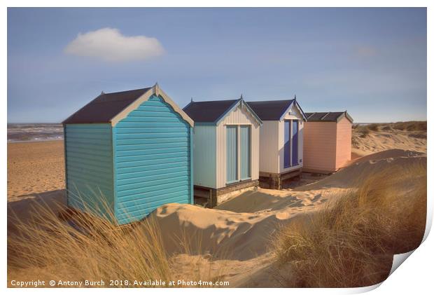 Southwold Gun Hill Beach Huts Print by Antony Burch
