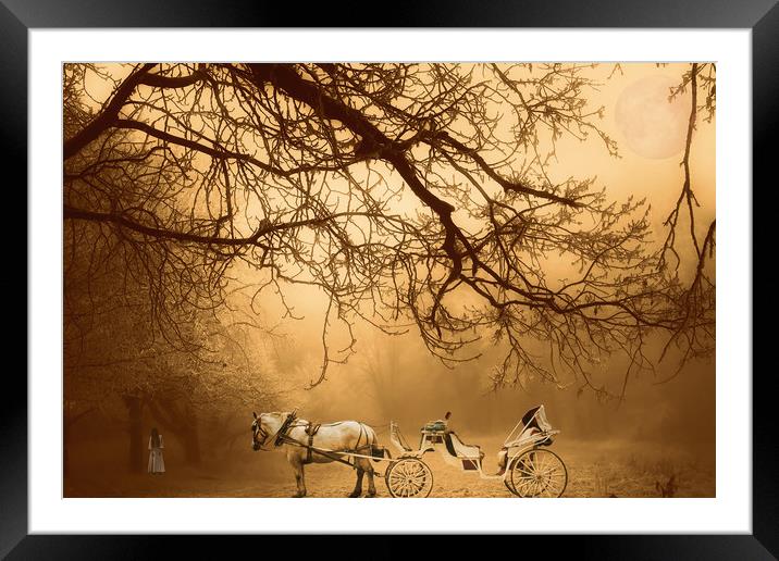 spooked Framed Mounted Print by sue davies