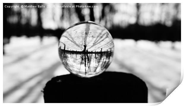     Winter Trees in a Glass Ball Print by Matthew Balls