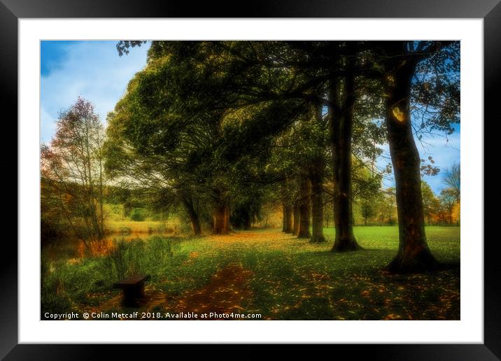 Riverside Stroll: Kirkstall Abbey's Enchanting Arb Framed Mounted Print by Colin Metcalf