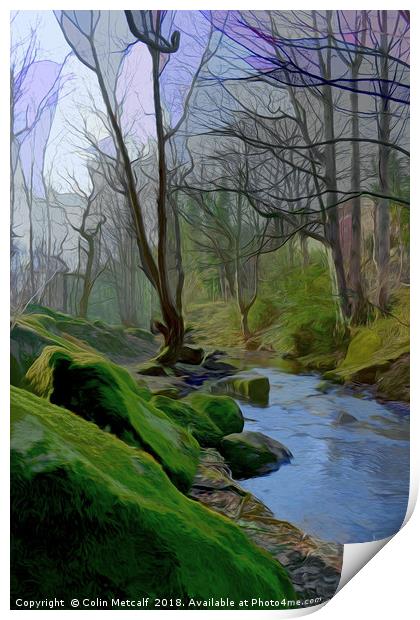 Woodland Stream Print by Colin Metcalf