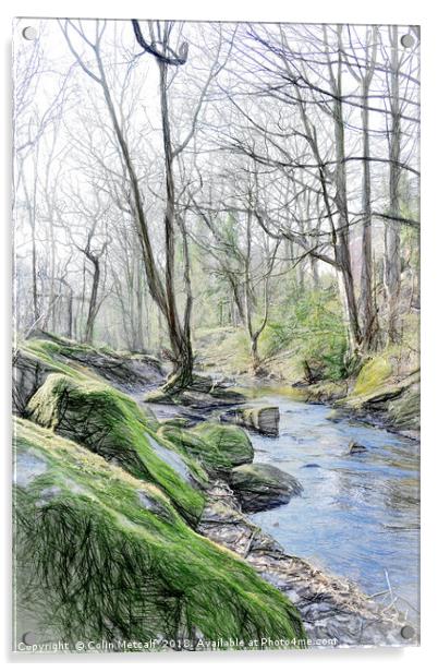 Woodland Stream Acrylic by Colin Metcalf