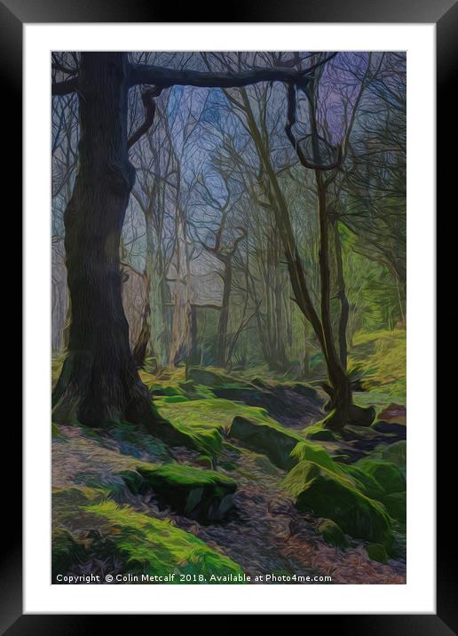 Winter Woodland Framed Mounted Print by Colin Metcalf