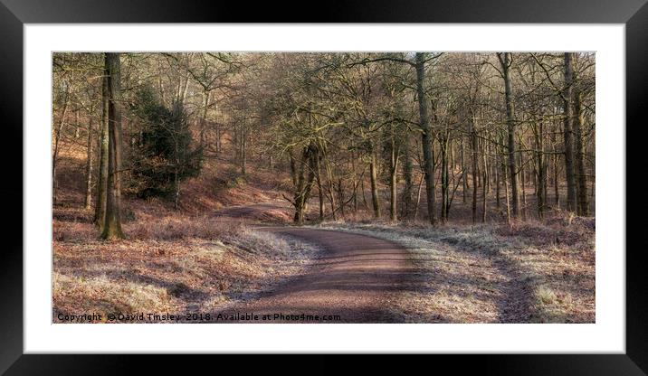 Bromley Hill Panorama Framed Mounted Print by David Tinsley