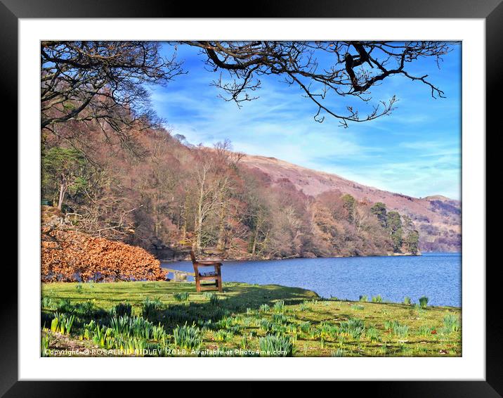 "Tranquility at the lake" Framed Mounted Print by ROS RIDLEY