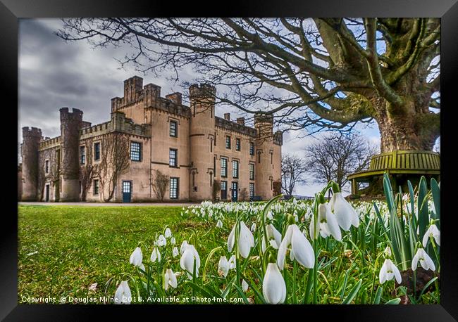 Snowdrops at the House of the Binns Framed Print by Douglas Milne