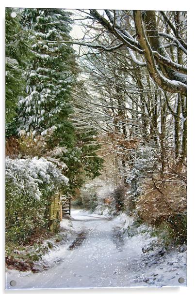 Back Gate in the Snow Acrylic by Ann Garrett
