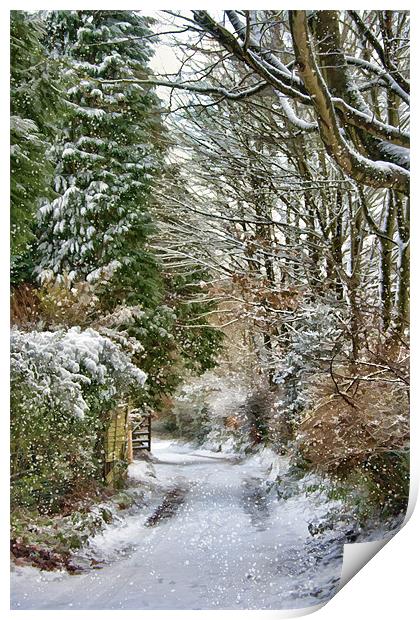Back Gate in the Snow Print by Ann Garrett