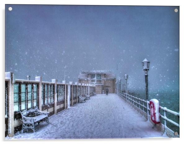 A very snowy Worthing Pier  Acrylic by Terry May