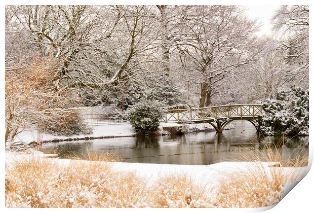A bridge in the snow at Birkenhead park Print by Rob Lester