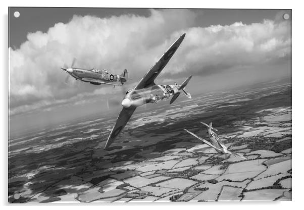 Spitfire TR 9 fighter affiliation, B&W version Acrylic by Gary Eason