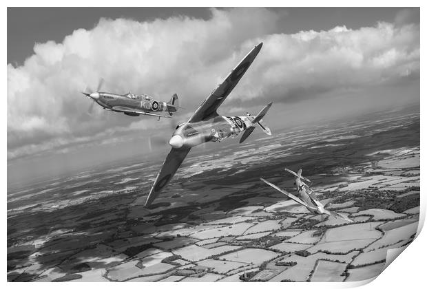 Spitfire TR 9 fighter affiliation, B&W version Print by Gary Eason