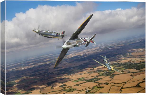 Spitfire TR 9 fighter affiliation Canvas Print by Gary Eason