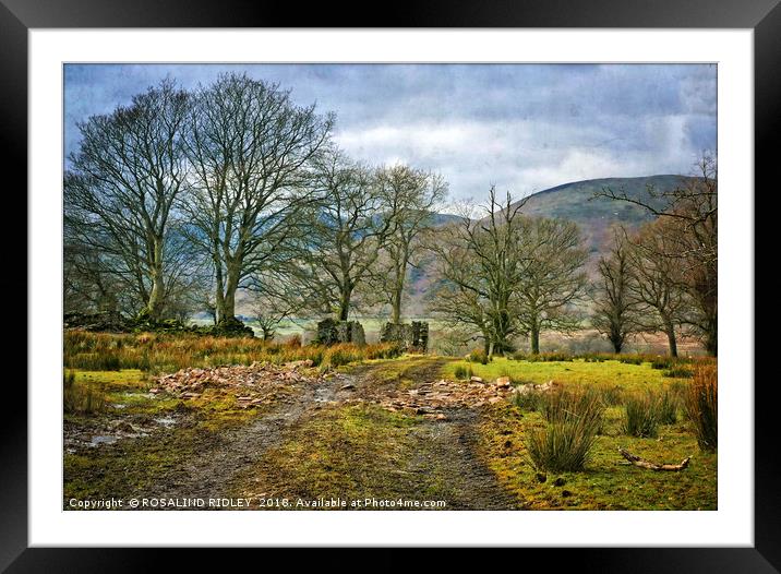 "Pathway to the mountains" Framed Mounted Print by ROS RIDLEY