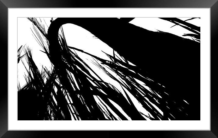 Black and white wheat grass Framed Mounted Print by Dinil Davis
