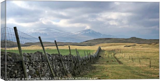 "Pathway to the mountains 2" Canvas Print by ROS RIDLEY