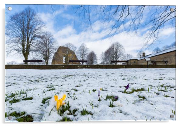 Knaresborough Castle in snow Acrylic by mike morley