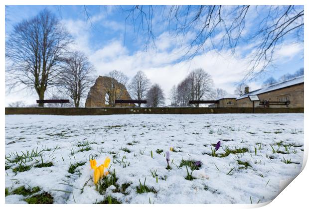 Knaresborough Castle in snow Print by mike morley