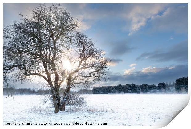 Bare tree in a snow field with early sunrise Print by Simon Bratt LRPS