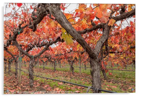 Vines in Autumn Acrylic by jonathan nguyen